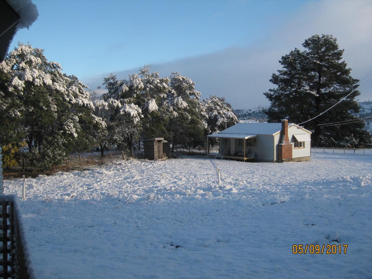 Shearers' Quarters Rathmore Hollow Tree Exterior foto