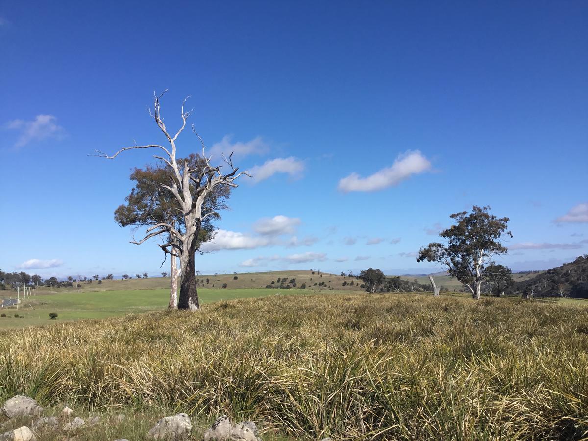 Shearers' Quarters Rathmore Hollow Tree Exterior foto